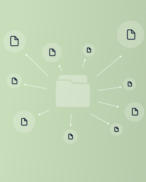 Data Management