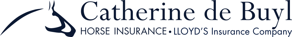 De Buyl Insurance