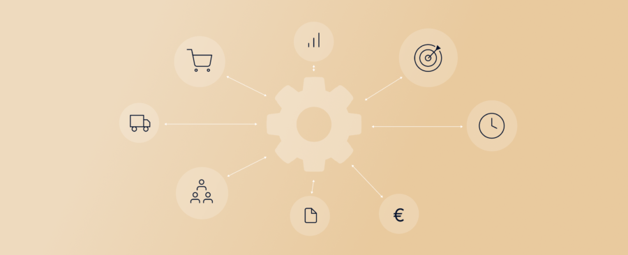 Enterprise Resource Planning (ERP)