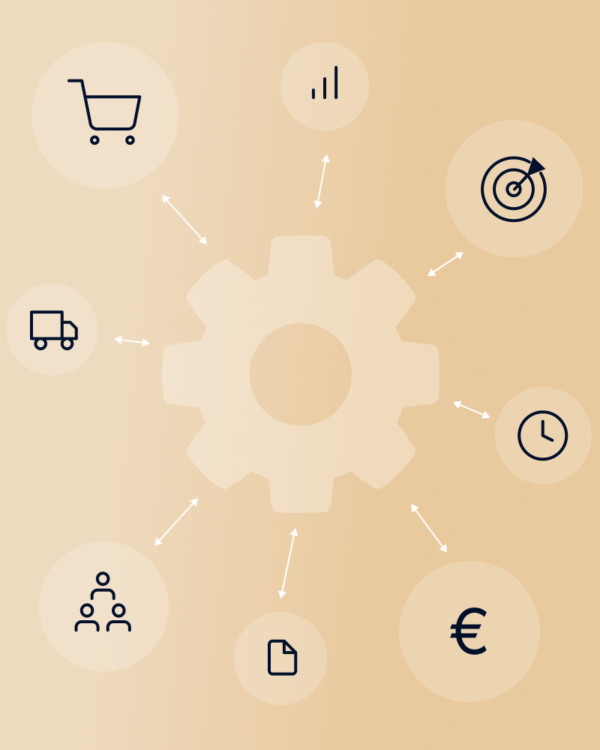 Enterprise Resource Planning (ERP)